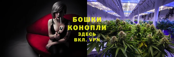 ECSTASY Дмитров