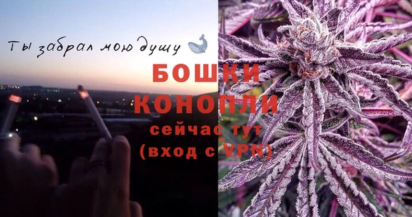 мет Елизово