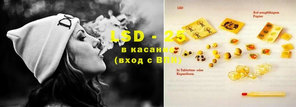 сатива Дмитриев