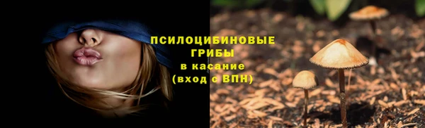 сатива Дмитриев