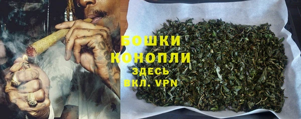 ECSTASY Дмитров