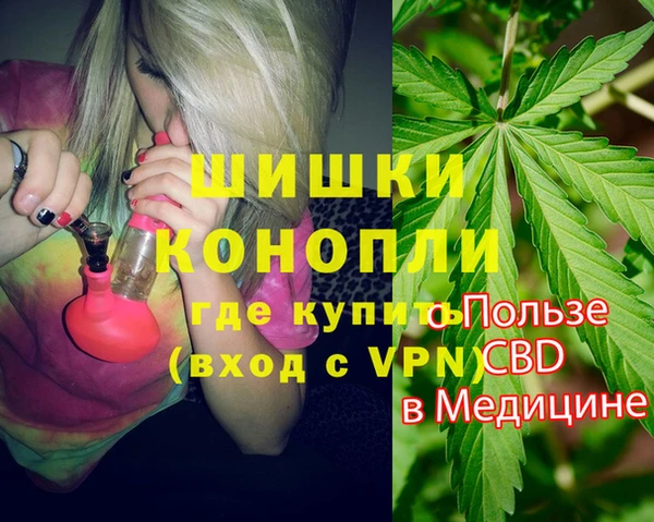 сатива Дмитриев