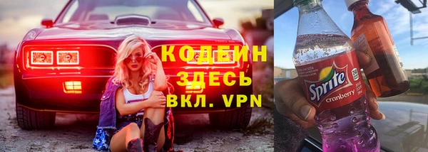 сатива Дмитриев
