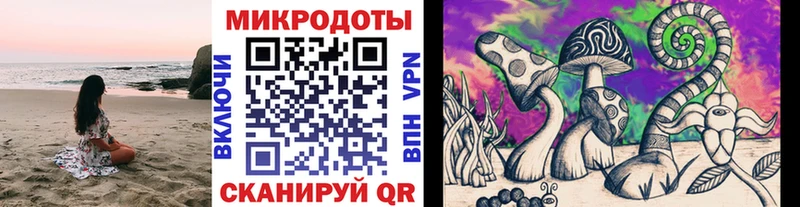 Галлюциногенные грибы Magic Shrooms  Ясногорск 